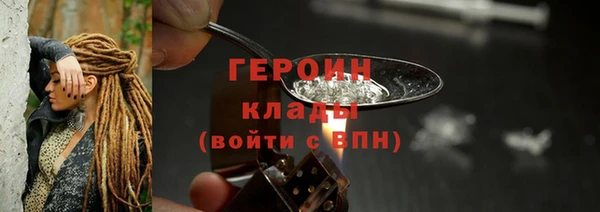гидра Богородск