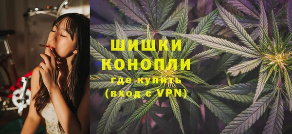 гидра Богородск