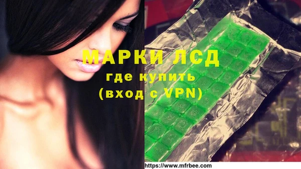 хмурый Белокуриха
