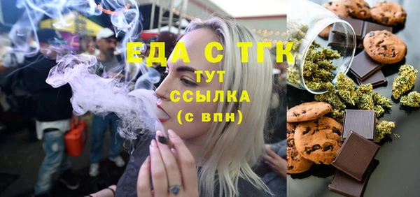 гидра Богородск