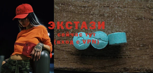 гидра Богородск