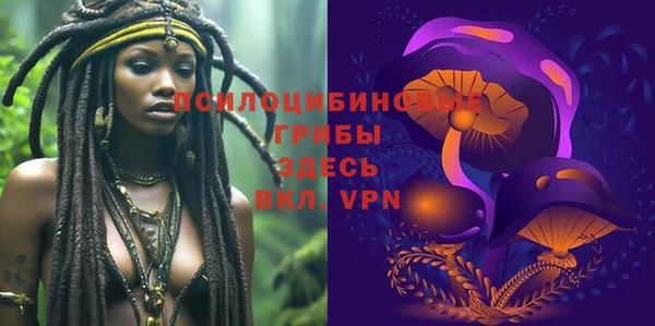 марки lsd Богданович