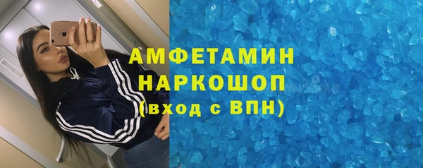 гидра Богородск