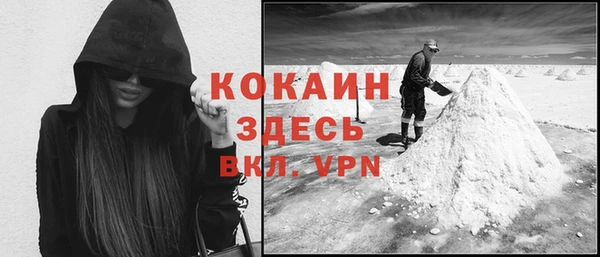 гидра Богородск