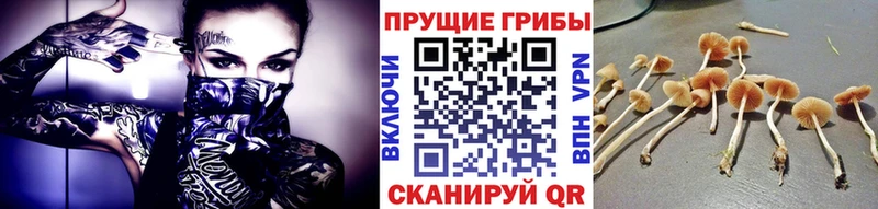 Псилоцибиновые грибы GOLDEN TEACHER  Велиж 